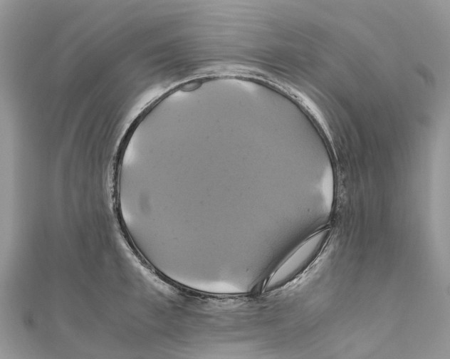 X0000110990997200907171748