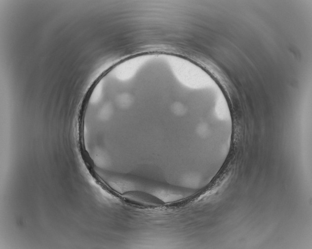 X0000110990999200907171748