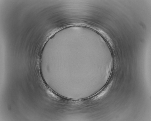 X0000110991001200907171748