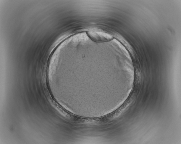 X0000110991002200907171748