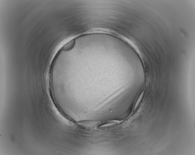 X0000110991003200907171748