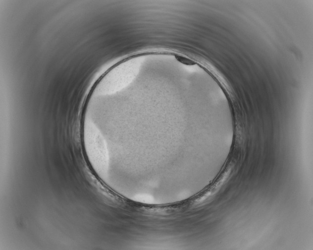 X0000110991004200907171748