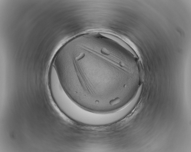 X0000110991005200907171748