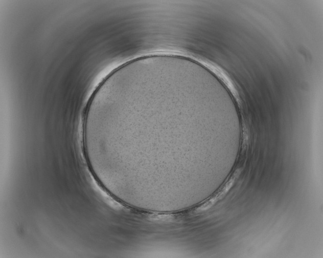 X0000110991006200907171748