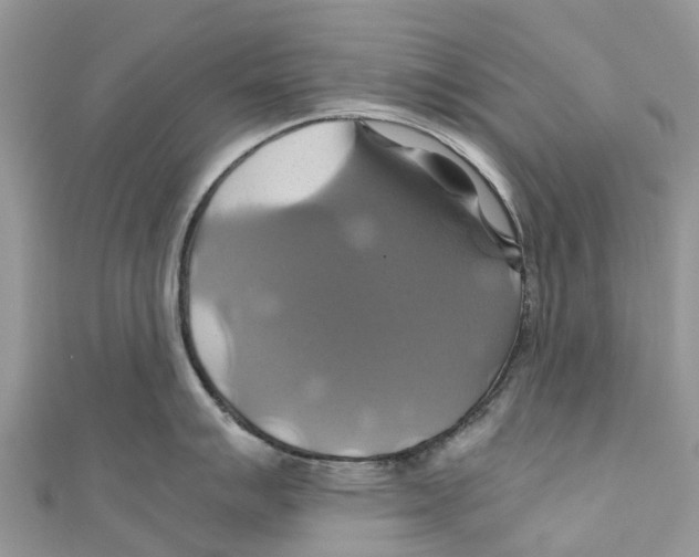X0000110991007200907171748