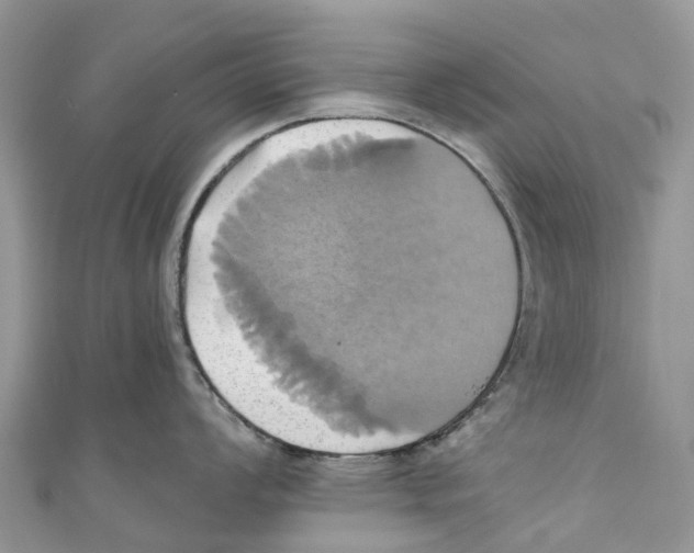X0000110991008200907171748