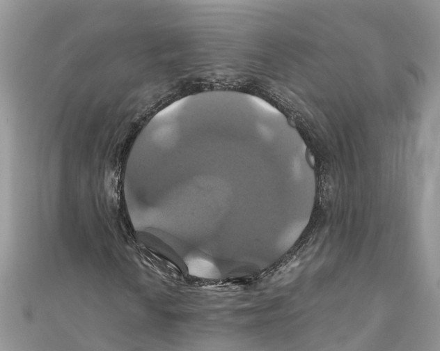 X0000110991010200907171747