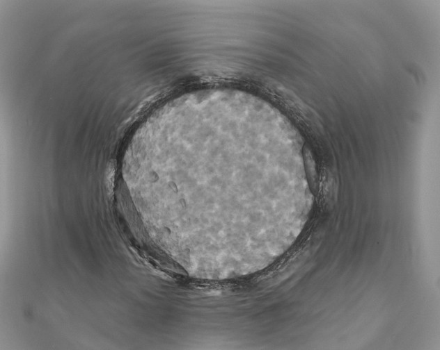X0000110991012200907171747