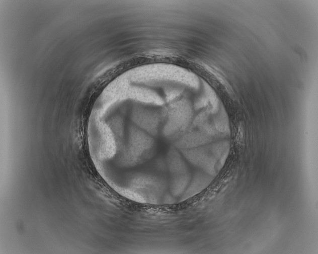 X0000110991015200907171747