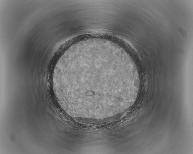 X0000110991016200907171747