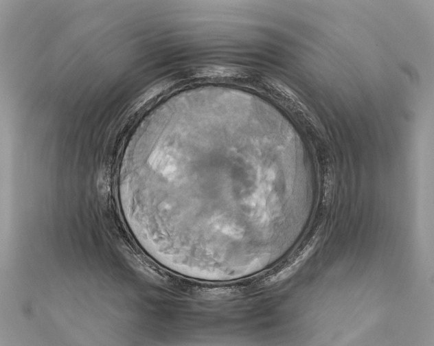 X0000110991017200907171747