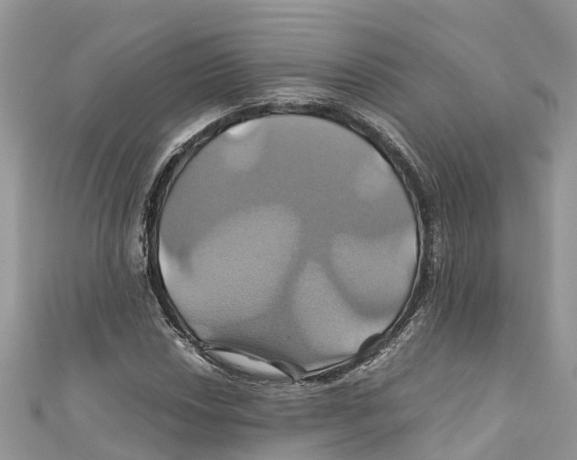 X0000110991018200907171747