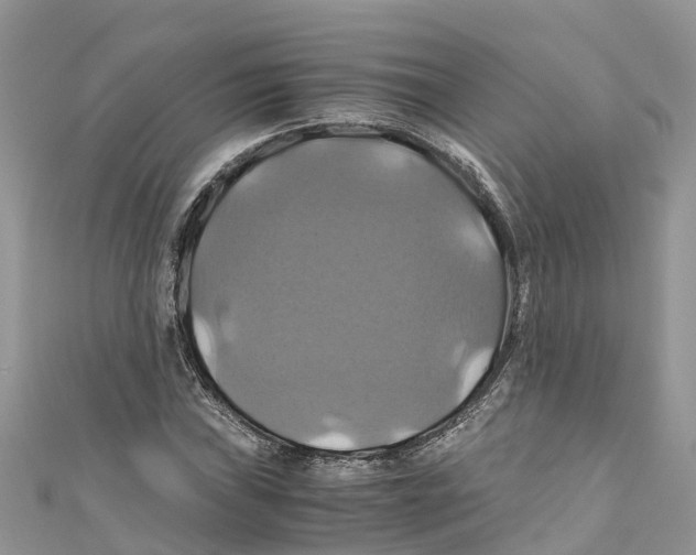 X0000110991019200907171748