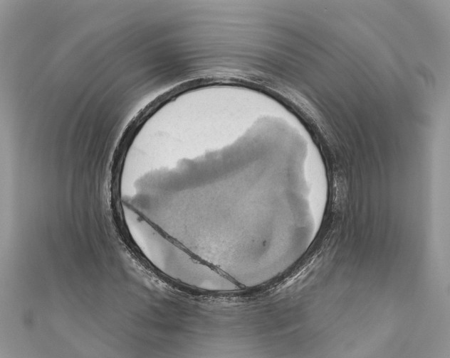 X0000110991020200907171748