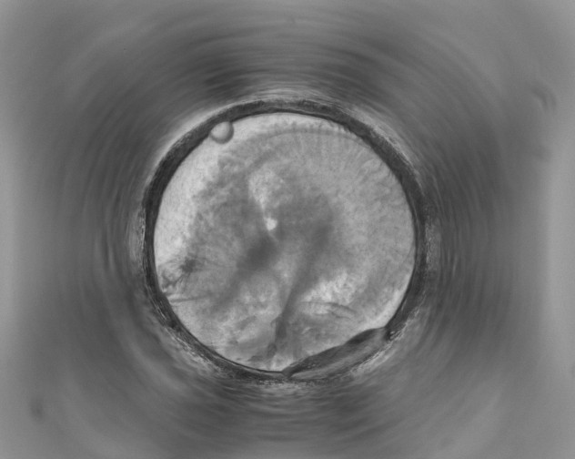 X0000110991021200907171748