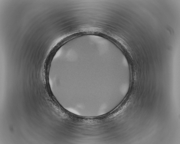 X0000110991022200907171748