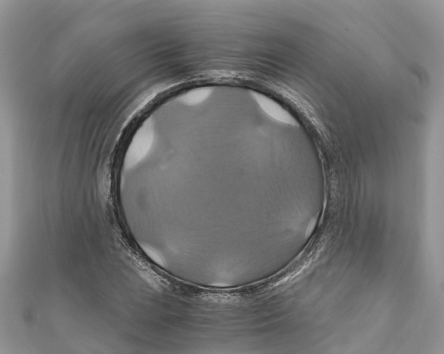 X0000110991023200907171748