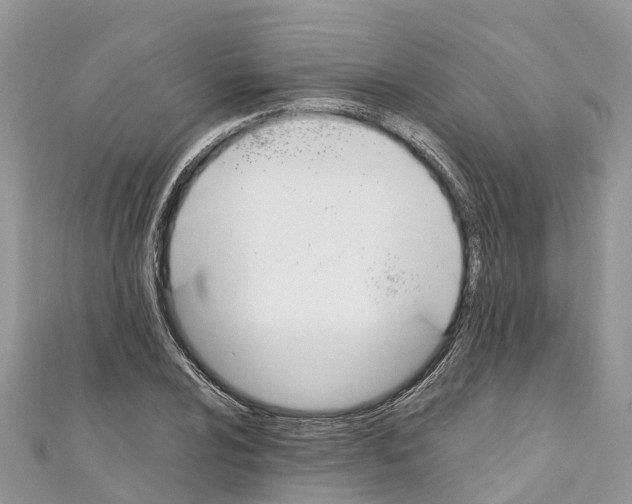 X0000110991024200907171748