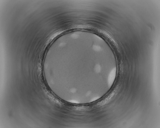 X0000110991025200907171748