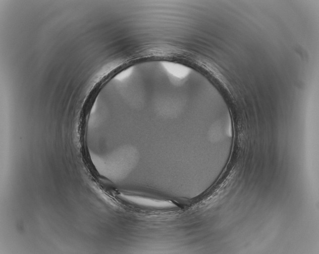 X0000110991026200907171748