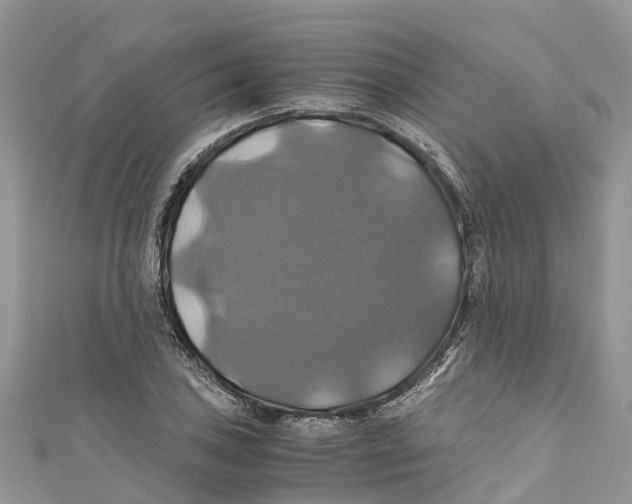 X0000110991027200907171748