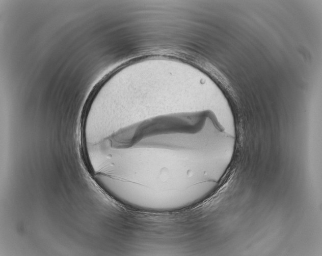X0000110991028200907171748