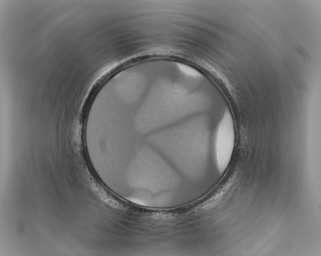 X0000110991029200907171748