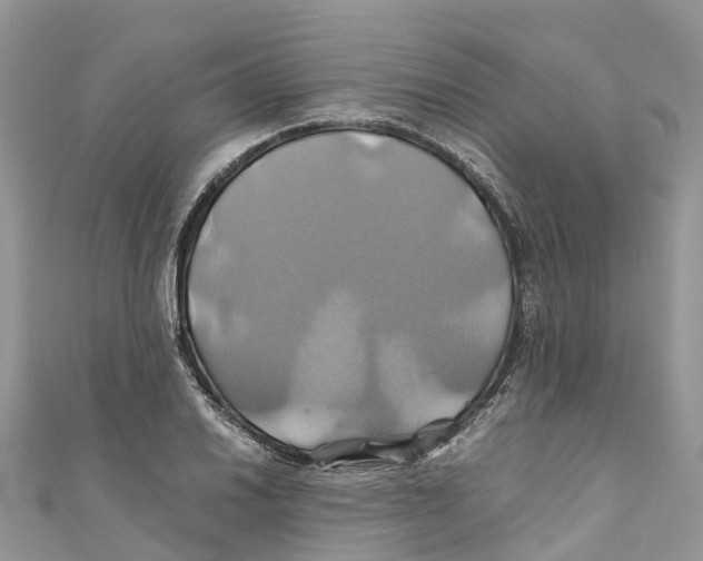 X0000110991030200907171748