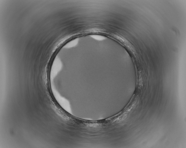 X0000110991031200907171748