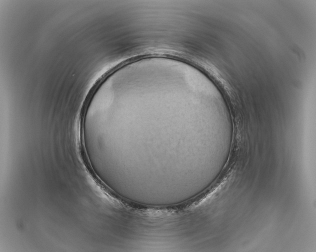 X0000110991032200907171748