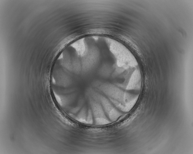 X0000110991033200907171748