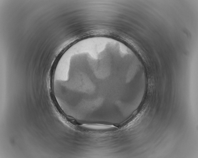 X0000110991034200907171748