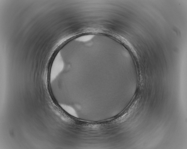 X0000110991035200907171748