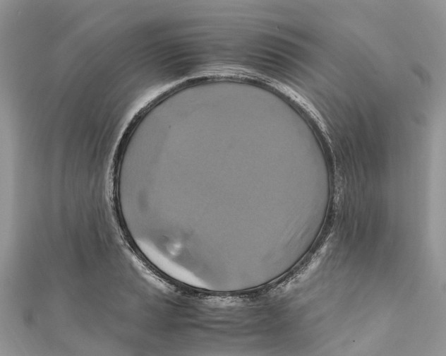 X0000110991037200907171748