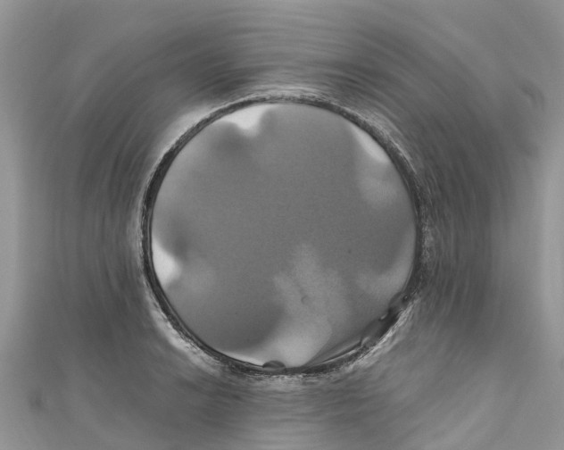 X0000110991038200907171748