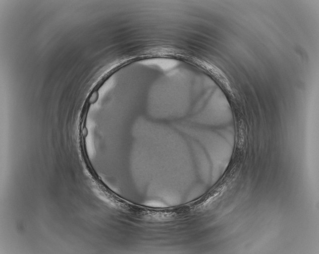 X0000110991039200907171748