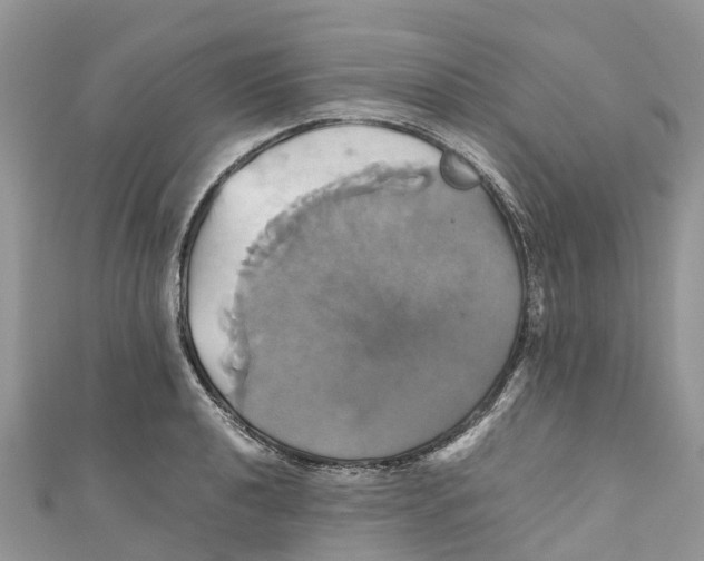X0000110991040200907171748