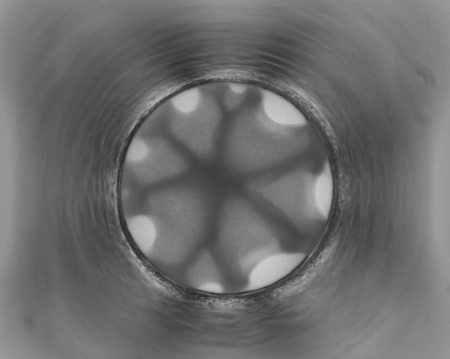 X0000110991041200907171748