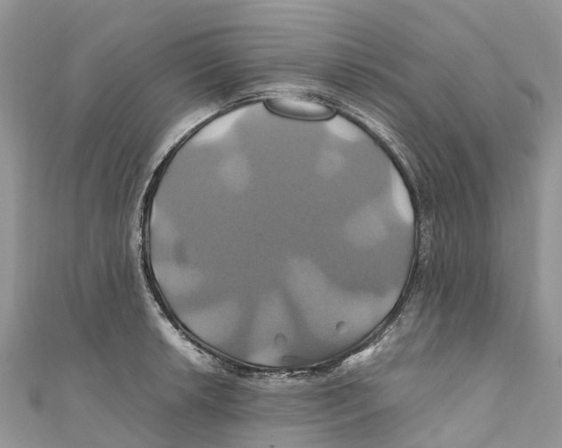 X0000110991042200907171748