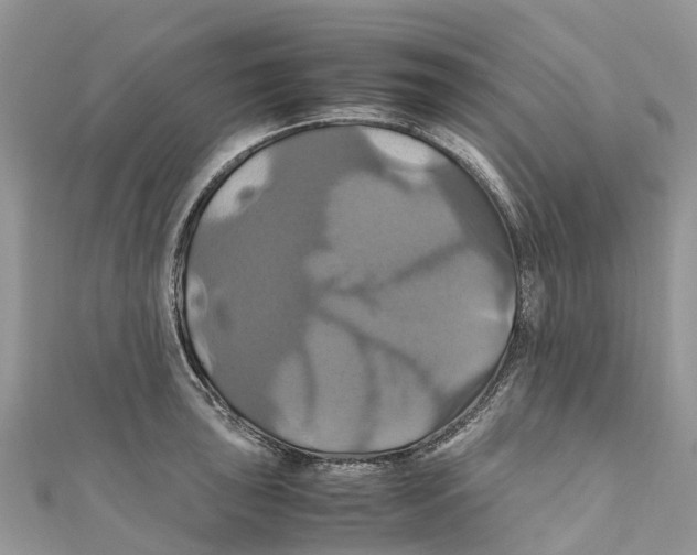 X0000110991043200907171748