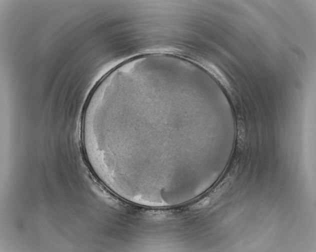 X0000110991044200907171748
