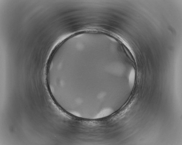 X0000110991045200907171748