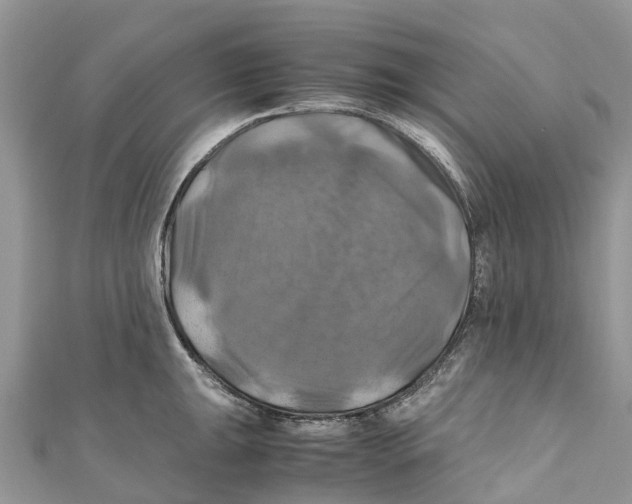 X0000110991047200907171748