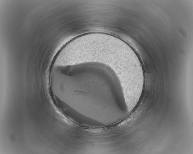 X0000110991048200907171748