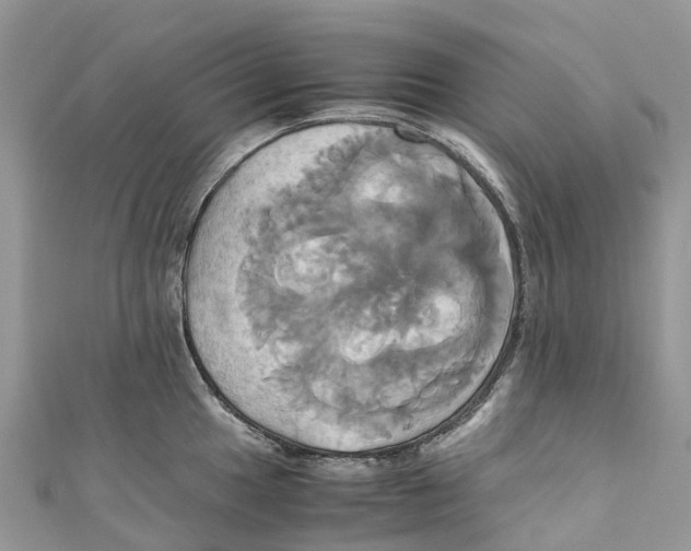 X0000110991049200907171748