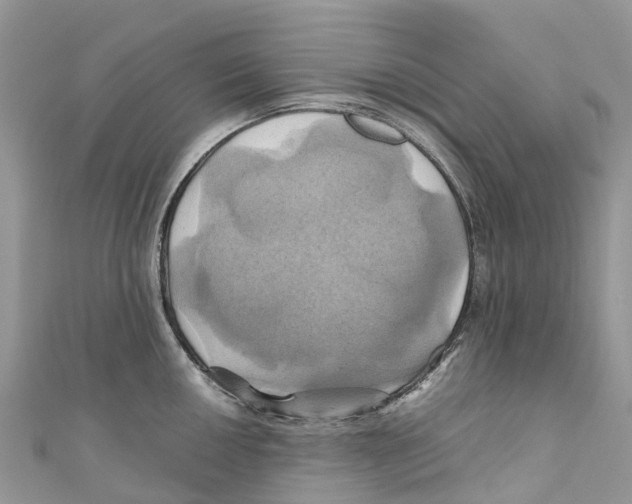 X0000110991050200907171748