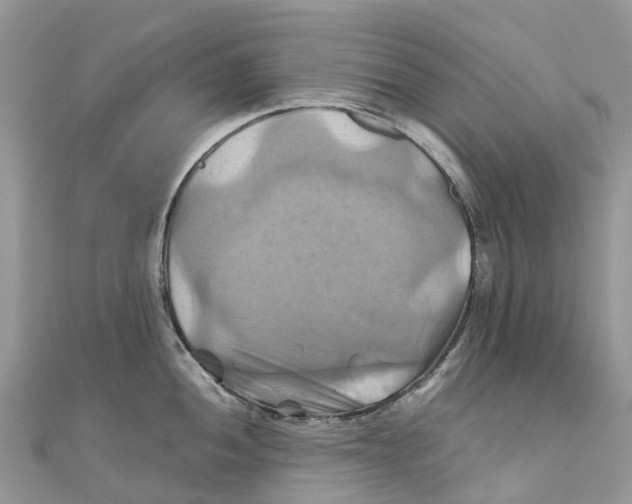 X0000110991052200907171748