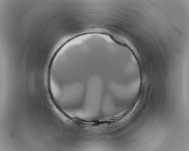 X0000110991054200907171748