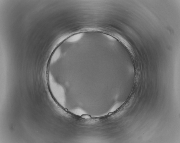 X0000110991055200907171748