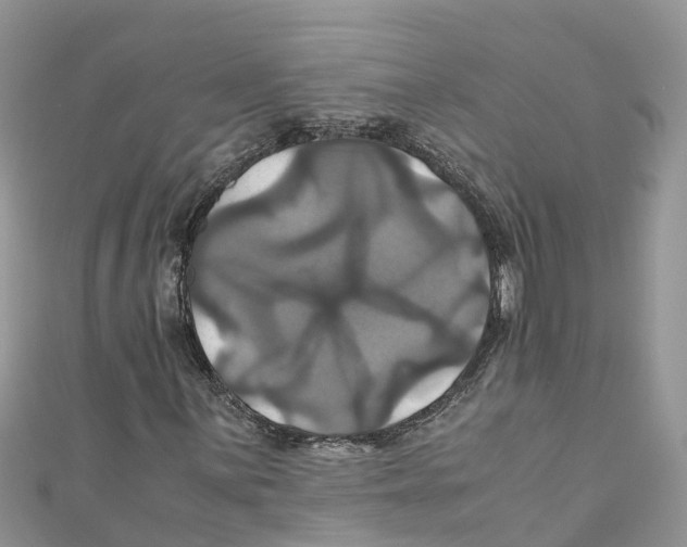 X0000110991059200907171747